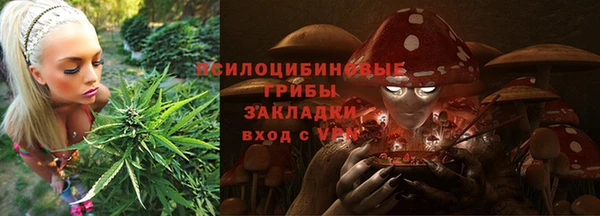 прущие грибы Киренск
