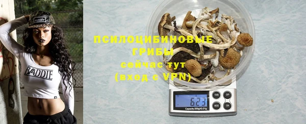 стаф Карталы